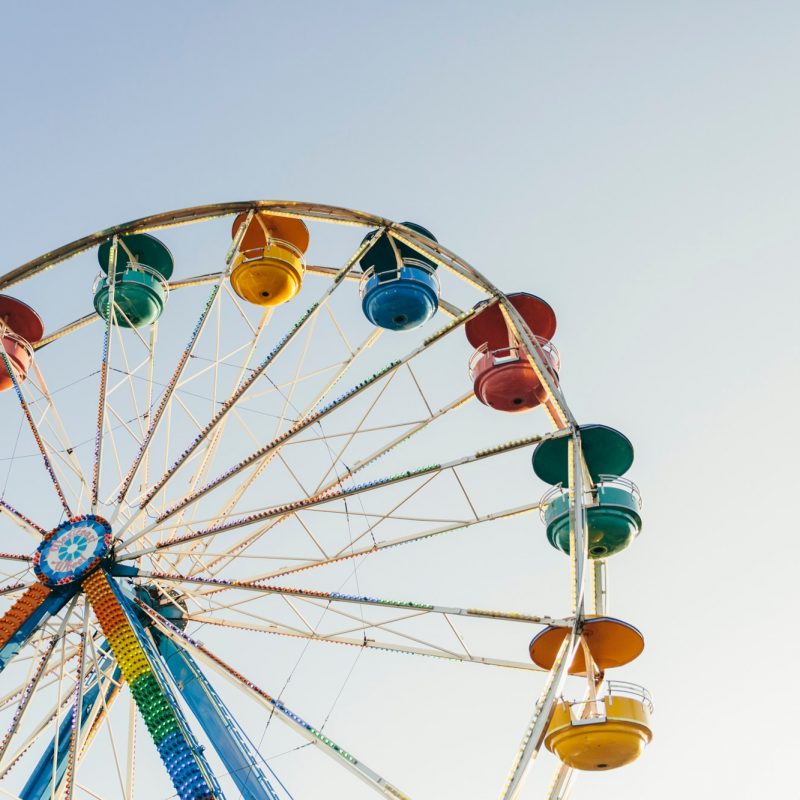 Scale-up CEOs don't have to reinvent the wheel