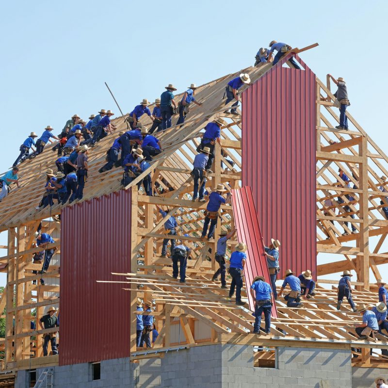 board members are building their company as if it was a house